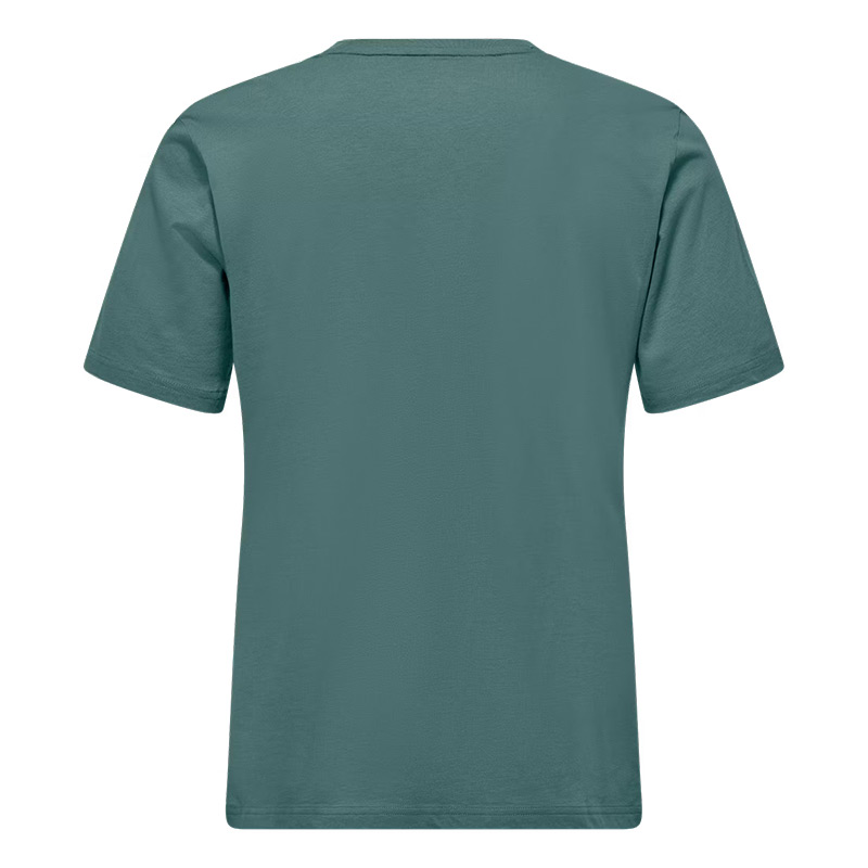 Футболка мужская Salewa EAGLE 3CIME M T-SHIRT Willow
