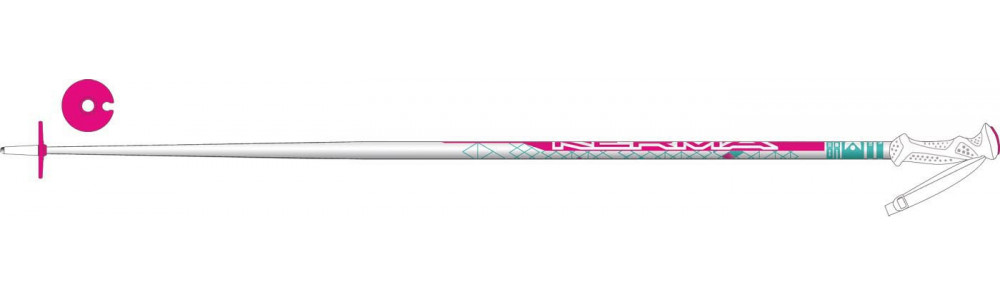 Палочки лыжные SALSA TEAM