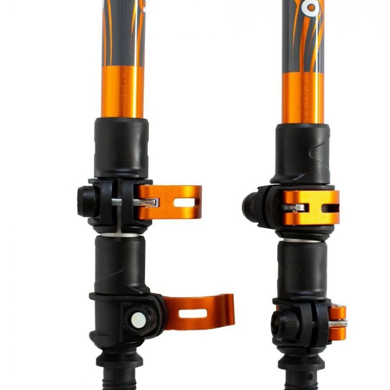 Палки треккинговые Expedition Tramp