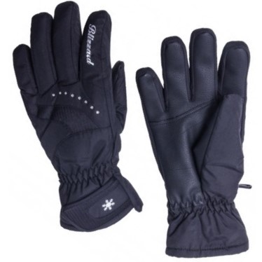 Перчатки женские BLIZZARD Viva Davos ski GLOVE black
