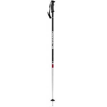 Палочки лыжные BLIZZARD Rental Ski Poles Silver